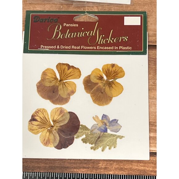 SET OF 2 Darice Botanical Stickers Pressed & Dried Real Flowers EMBELLISHMENT - Picture 2 of 4